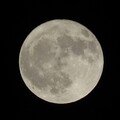 影音/浪漫草莓月亮6月11日登場 錯過再等18年