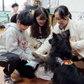 從浪犬到狗老師 打造人與動物共好的療癒藍圖