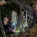 殼上長毛的原生台灣盾蝸牛銘傳大學現蹤 校園夜間生物多樣性調查收穫豐