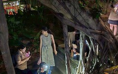 殼上長毛的原生台灣盾蝸牛銘傳大學現蹤 校園夜間生物多樣性調查收穫豐