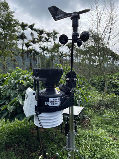 智慧科技助攻 嘉義縣政府輔導咖啡園轉型提升品質