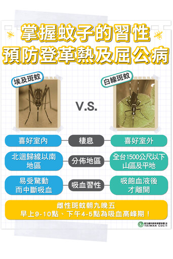 一鍵看懂｜屈公病是什麼？此「症狀」與登革熱不同 恐痛到無法行動