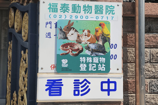 不只貓狗 非犬貓寵物也能登記 新北推新制 盼降低走失與棄養 前500名送新北幣300點