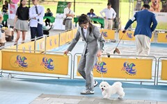 宜蘭寵物嘉年華 萌寵齊聚羅東文化工場