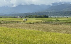 鳳凰颱風逼近 花縣府籲農友嚴防災害
