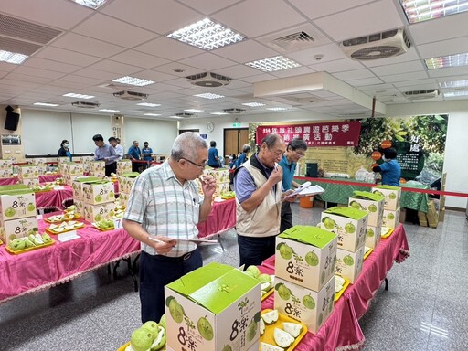 影音/中部優質番石榴果品評鑑競賽 優秀果農齊聚比拚
