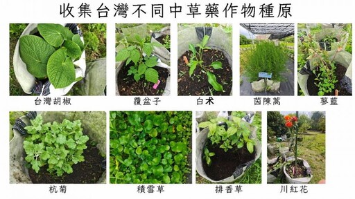 嘉大團隊引領中草藥創新應用 推動臺灣食農產業轉型升級