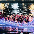 2025臺南國際龍舟錦標賽 奮力划出團結與傳承的力量