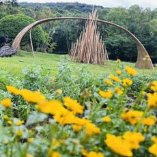 士林官菊展11/28繽紛登場 結合花藝美學、城市故事與逐夢能量