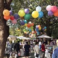 臺南春節連假古蹟文化園區湧近60萬人次遊客走春