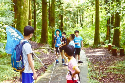 到大自然裡放暑假 東眼山暑期營隊3種不同主題課程報名開跑！