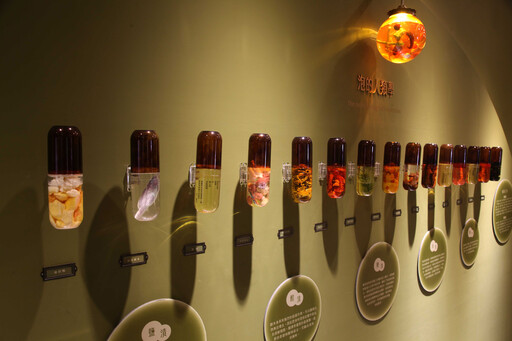 橫跨138億年的體驗 坪林茶博館「泡特展」最後倒數