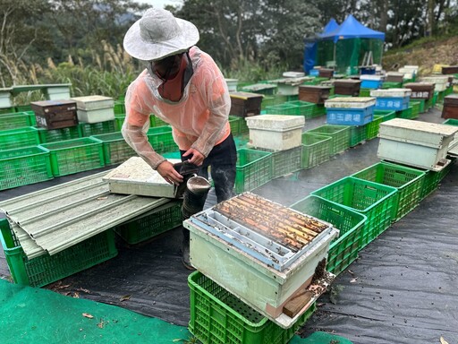 平溪蜂農父子創蜂蜜品牌「丰玉」發掘新北山林「蜜」寶