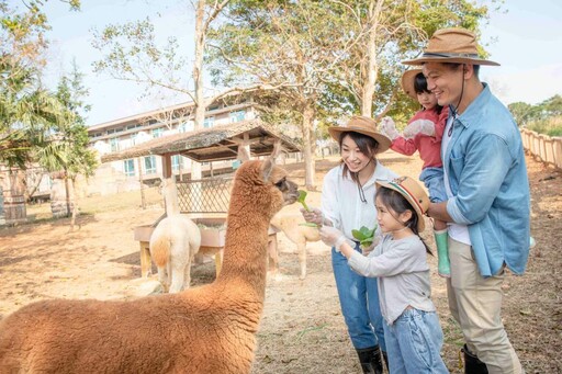 全新親子最夯設施首選 全台唯一結合冒險探索與動物體驗遊戲區暑假登場