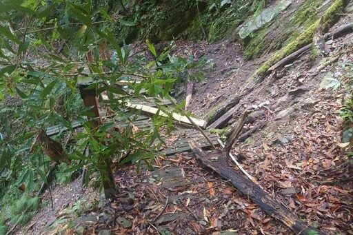 遊客小心通行 霞喀羅國家步道部分路段土石崩落樹木倒伏