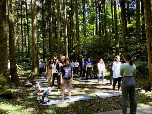 夏日親近自然好趣處 東眼山「癒見森林：森活療癒力」打開五感