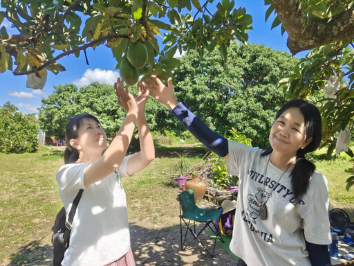 龍崎教養院生採酪梨 體驗1日農夫感恩惜福