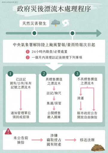 臺南開放市民自8/9起自由撿拾漂流木