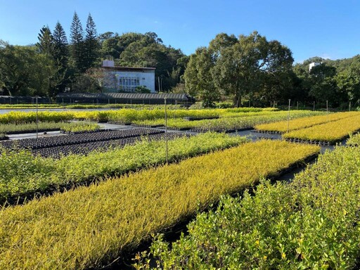 植樹造林增碳匯 新北免費苗木今開放申請