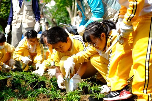 植樹造林增碳匯 新北免費苗木今開放申請