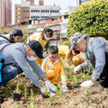 植樹造林增碳匯 新北免費苗木今開放申請