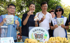 南投冰品與美食 夏午冰果事中興新村植物園登場