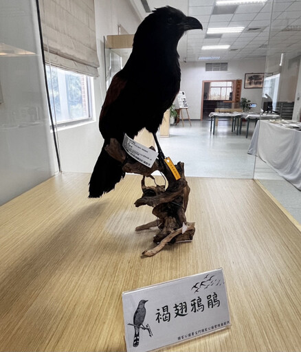 金大辦金門國家公園圖書展 邀您同體驗金門生態與候鳥習性