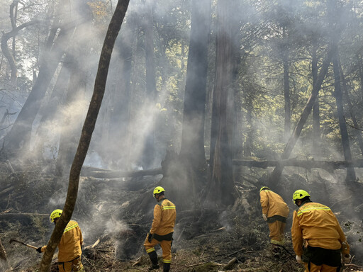 森林護管員和漫畫家艸肅真情接觸 「尋山人」還原最真實的職人日常