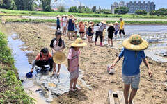 客家農業x鄉村風情 桃竹苗分署邀你楊梅客家「農家樂」永續旅遊趣!