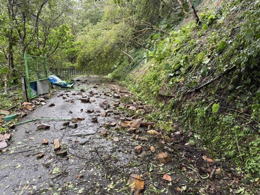 林保署新竹分署轄屬森林育樂場域延至11/4日開園 拉拉山遊樂區延11/9營運