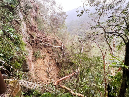 紅河谷及福巴越嶺步道封閉 桶後越嶺、大霸尖山登山、霞喀羅等步道11/18開放