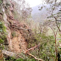 紅河谷及福巴越嶺步道封閉 桶後越嶺、大霸尖山登山、霞喀羅等步道11/18開放