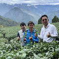 友善土地保育生態 來嘉品茗有機友善茶滋味