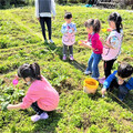 新北健康促進從幼扎根 113年度幼兒園健促獲獎數全國第一