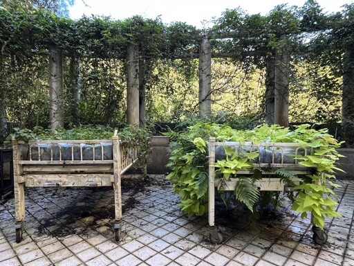 從播種到採摘入菜 八里愛心教養院移動菜園 讓院生五感體驗生命美好