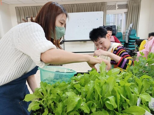 從播種到採摘入菜 八里愛心教養院移動菜園 讓院生五感體驗生命美好