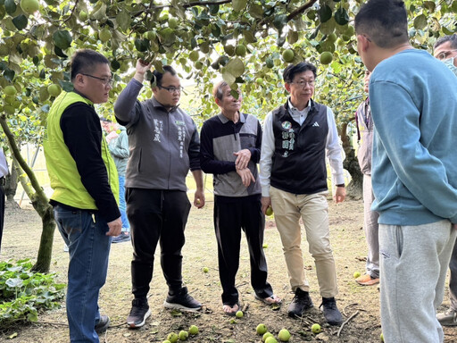 南部強震造成蜜棗、楊桃災損，立委林俊憲、郭國文協助農民勘災爭取補助