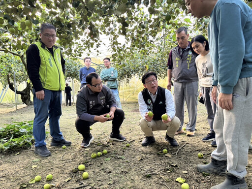 南部強震造成蜜棗、楊桃災損，立委林俊憲、郭國文協助農民勘災爭取補助