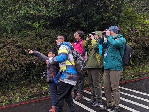 了解森林精靈生活 東眼山中心「鳥類觀察家」活動邂逅山林鳥兒美麗