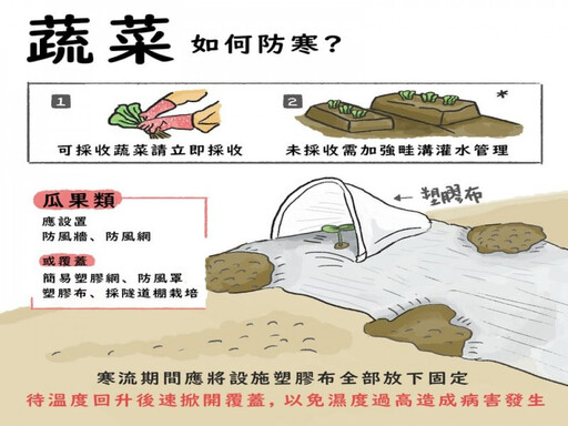 雲林縣府提醒寒流來襲 農漁牧養殖業防範寒害