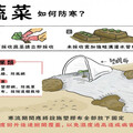 雲林縣府提醒寒流來襲 農漁牧養殖業防範寒害