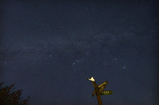 台江國家公園 ｢黑琵與星空」賞鳥觀星活動