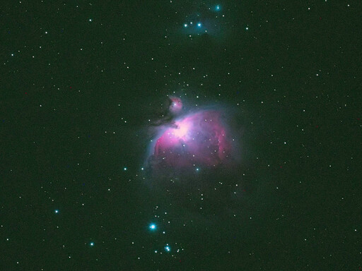 台江國家公園 ｢黑琵與星空」賞鳥觀星活動