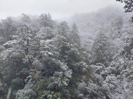 出遊拉拉山森林遊樂區注意 林保署新竹分署：若遇降雪將管制車輛進入