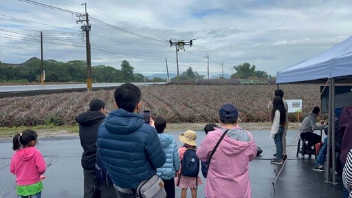 185雙層巴士北線專屬！探索銀獅農場俯瞰食蛇龜彩帽地景藝術