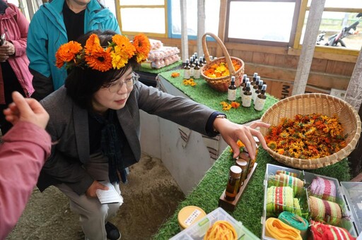 春遊賞花好去處、好玩好拍又好吃 竹縣那羅金盞花季2/21起吃喝玩樂登場