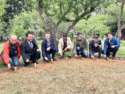 搶救60年古梅 清華大學攜手校友慨捐共同啟動梅園新生計畫