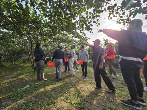 台南晶英春日住房限定！草莓蜜棗開心農園採果趣