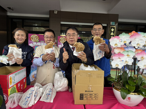 中華隊搶到WBC門票！台南藍軍再度豪發數千份雞排等美食與蘭花