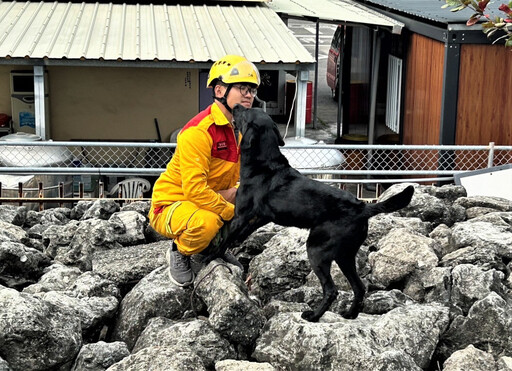 竹市搜救量能再精進! 消防局搜救犬赴參加IRO評量再獲認證肯定